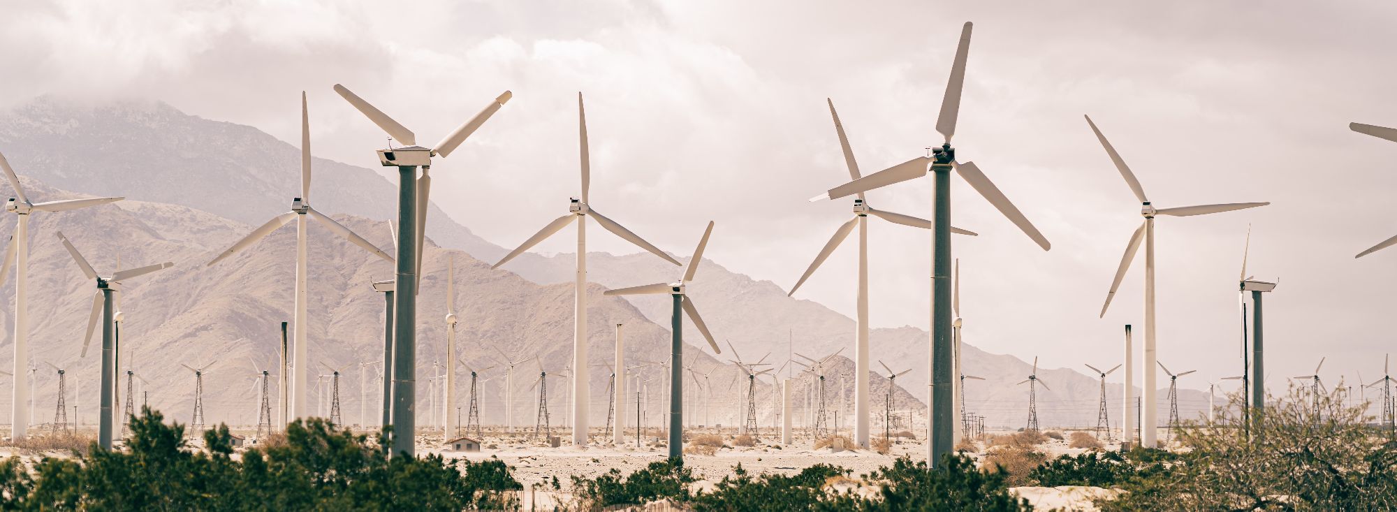 AleaSoft: La Ley de cambio Climático continúa sin reconocer el hidrógeno verde como combustible del futuro