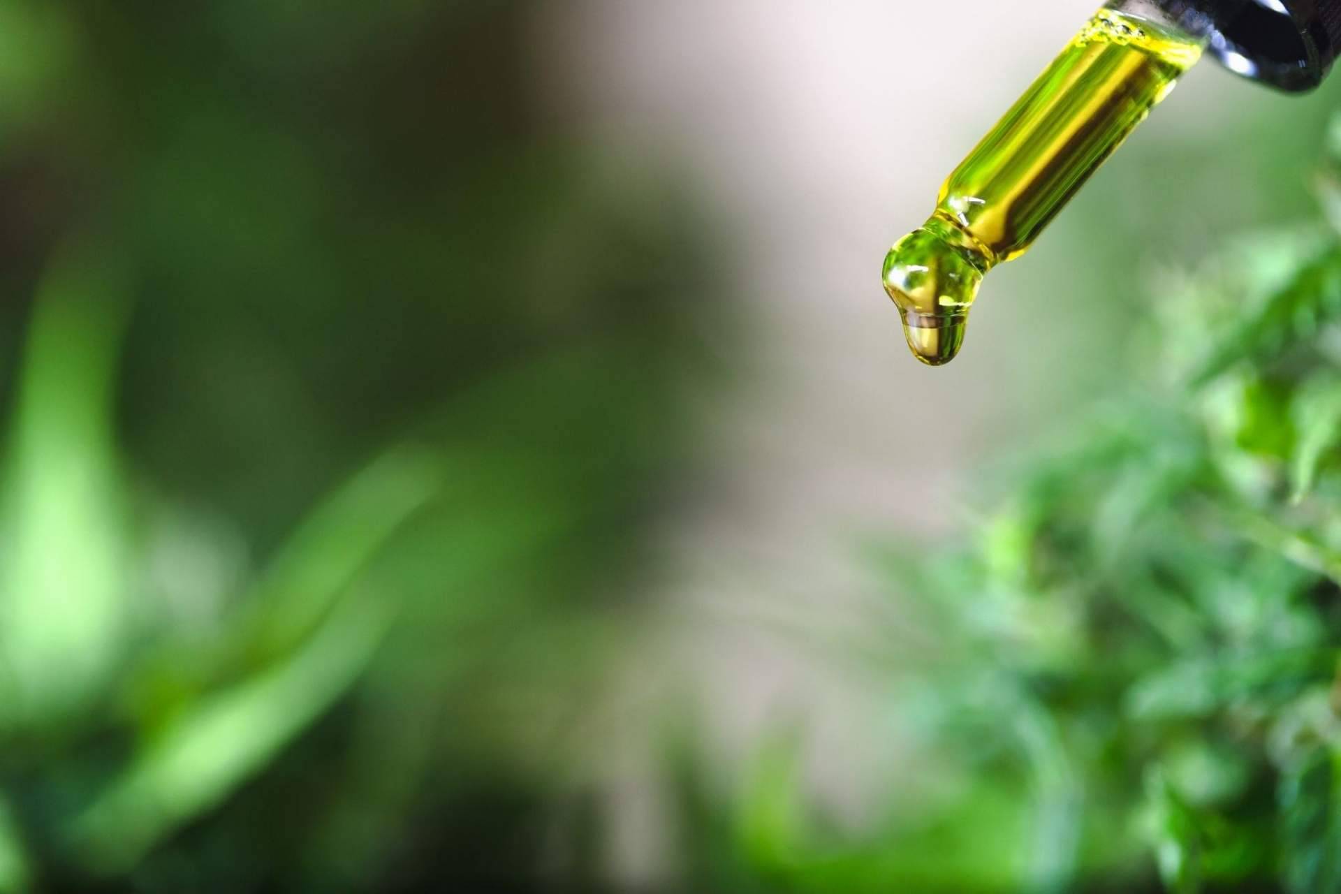 Premium Legal Hemp: ¿El aceite CBD para tratar molestias musculares funciona?