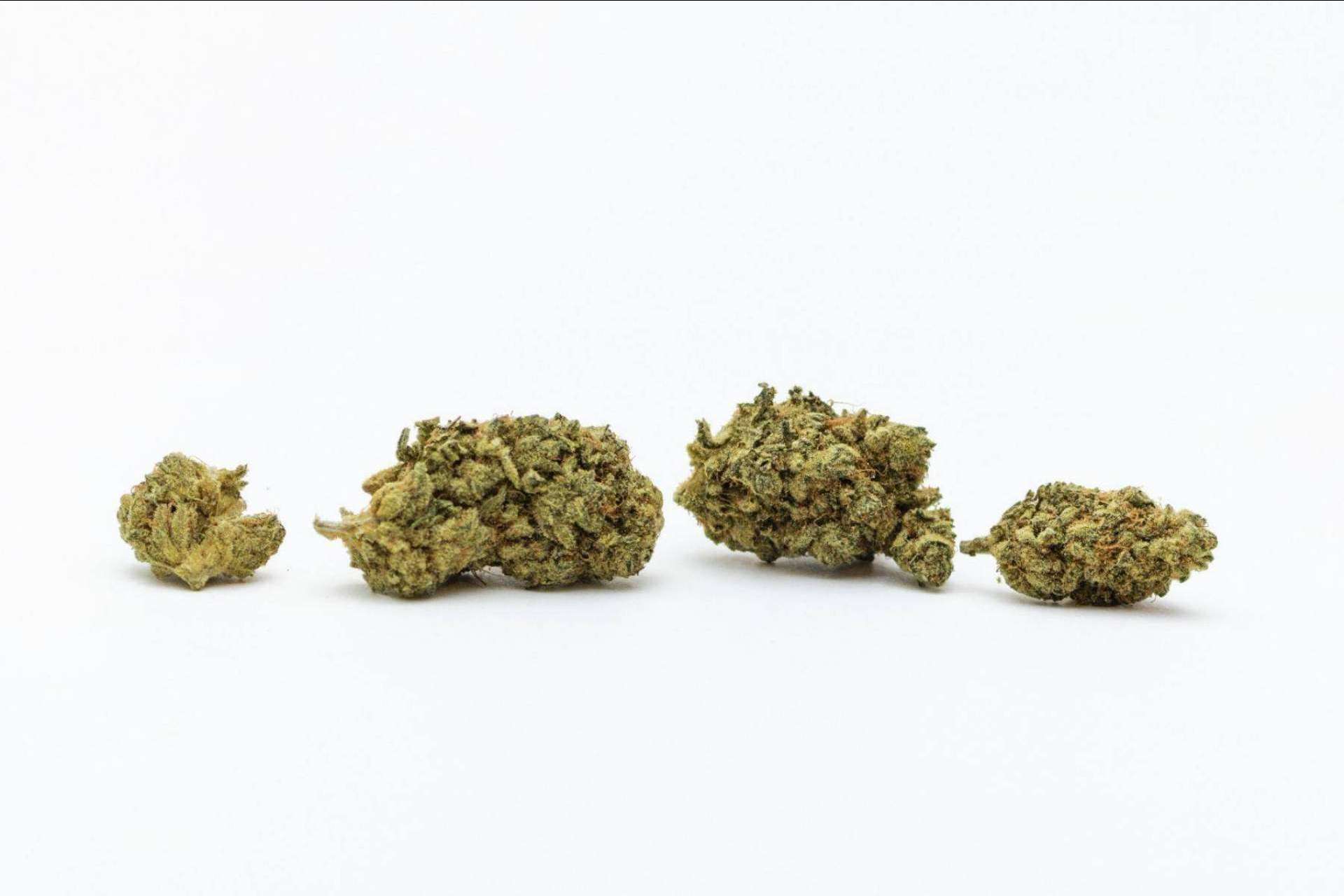 ¿Qué son las flores de cannabidiol?, por De Pata Verde