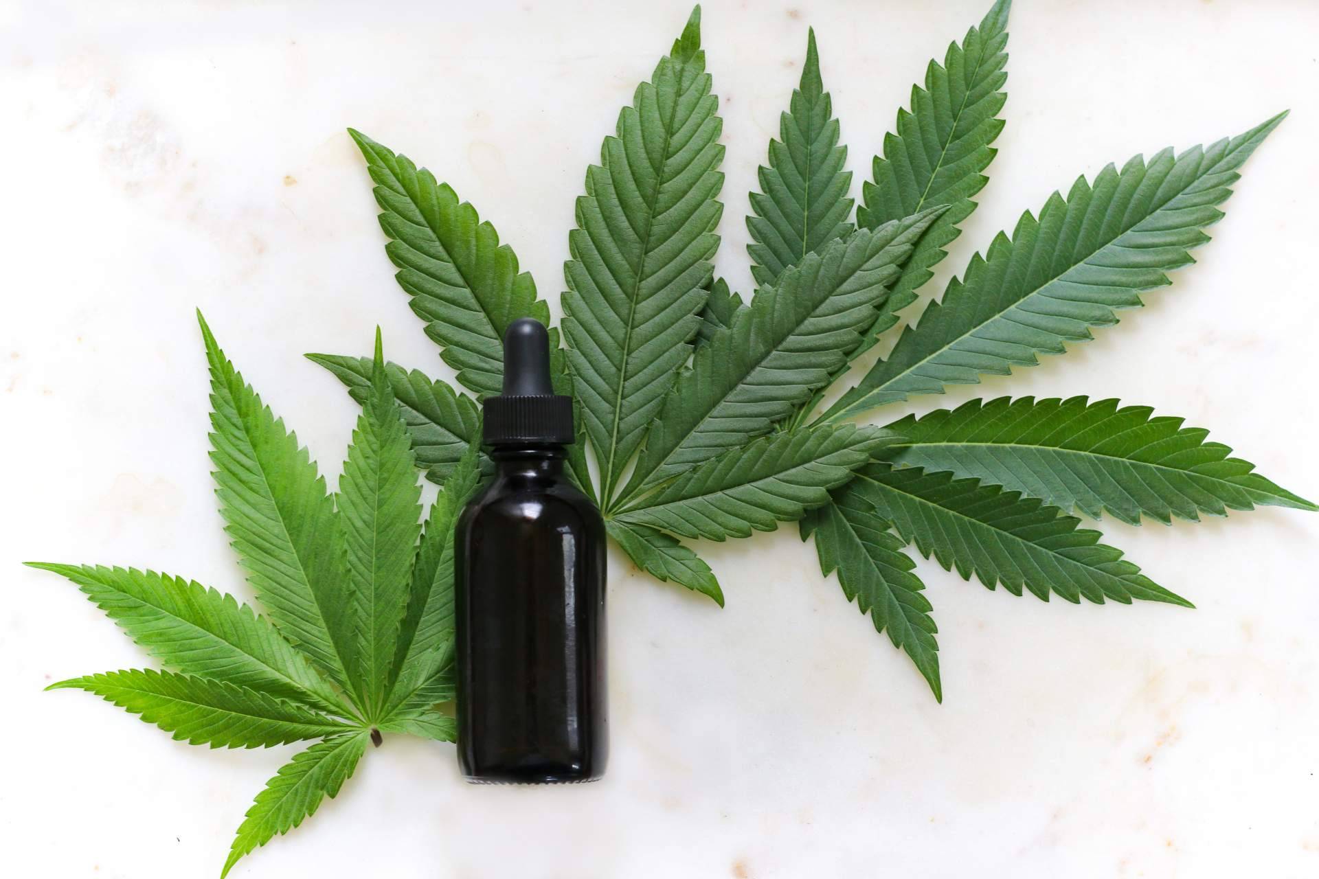 Las ventajas del aceite de CBD Full Spectrum de La Mal Querida Sativa respecto a los aceites de CBD tradicionales