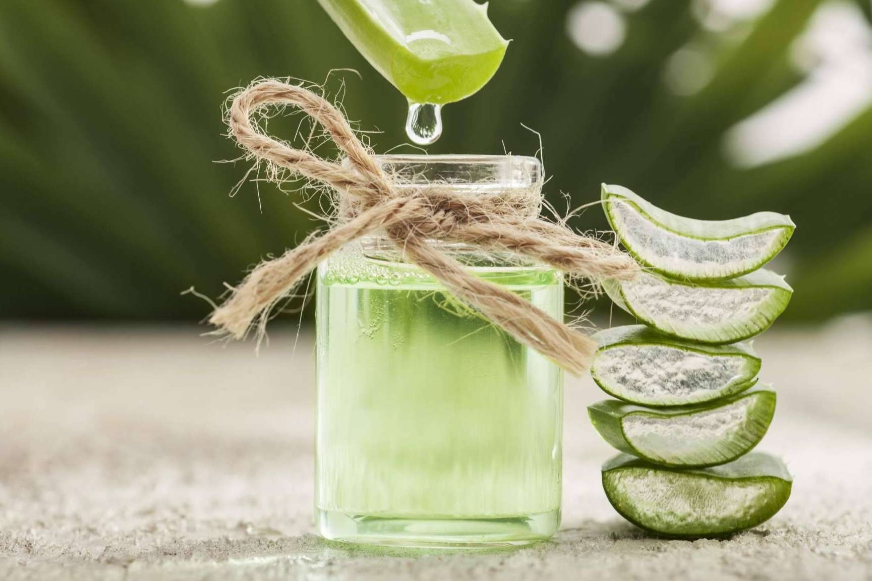 TerritorioAloe, uno de los mejores aliados en el proveimiento de productos de aloe vera para el mundo de las terapias naturales