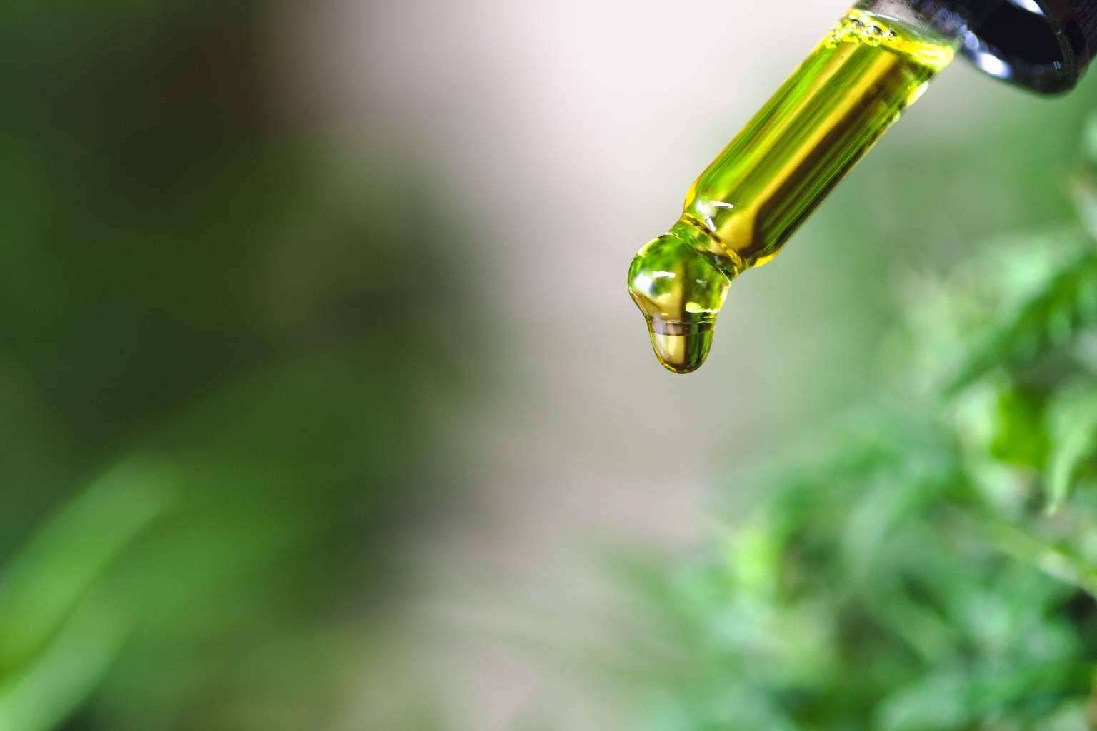 Los beneficios del aceite CBD de Legal Hemp