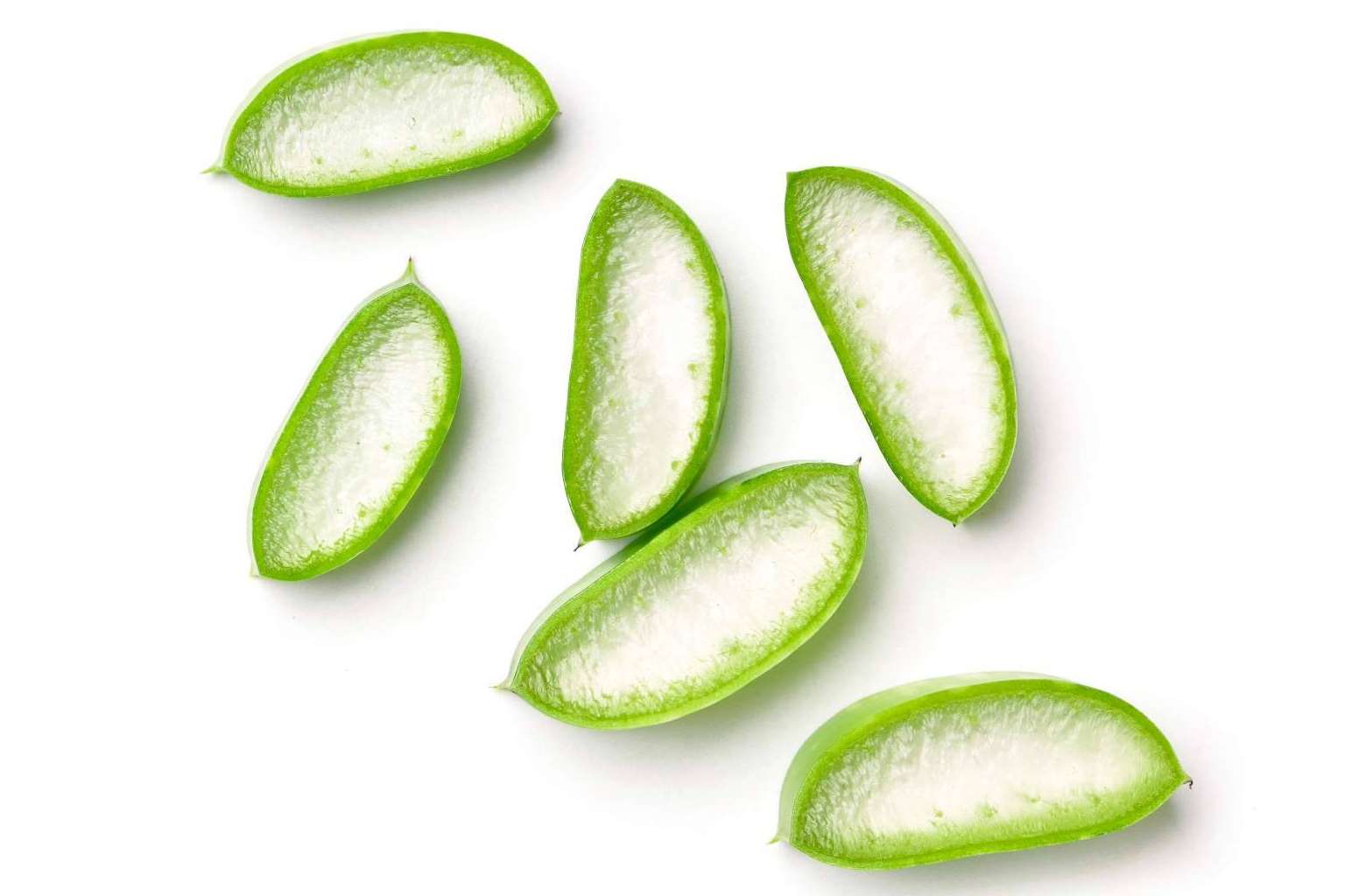 TerritorioAloe, una gran oportunidad de negocio para los enamorados del aloe vera
