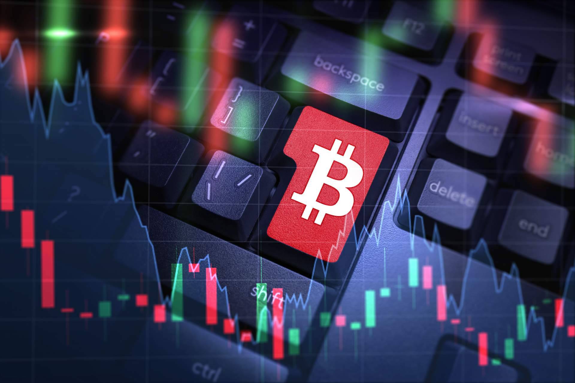 BEUROP otorga ingresos pasivos a través de el token con mecanismo de reflexión BEPR