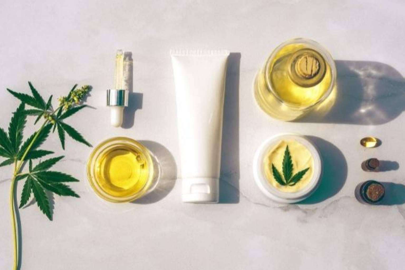 ¿Dónde comprar aceite CBD? CBD Organics