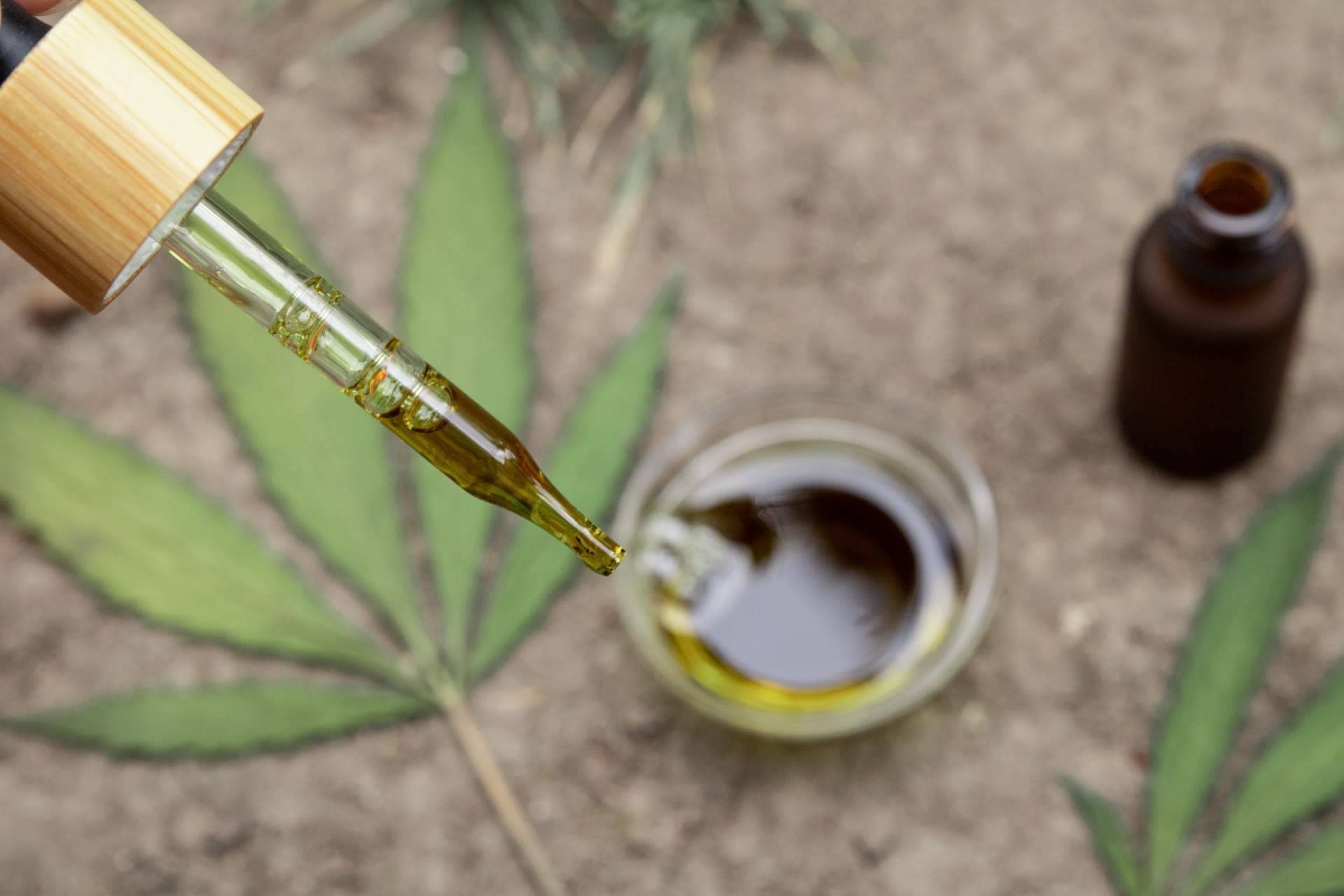 El nuevo growshop online con un extenso catálogo de artículos, topgrow.es
