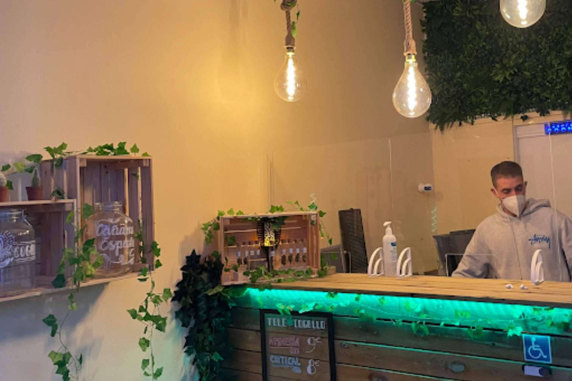 La marihuana legal de TeleCogollo se consolida como una de las favoritas del mercado