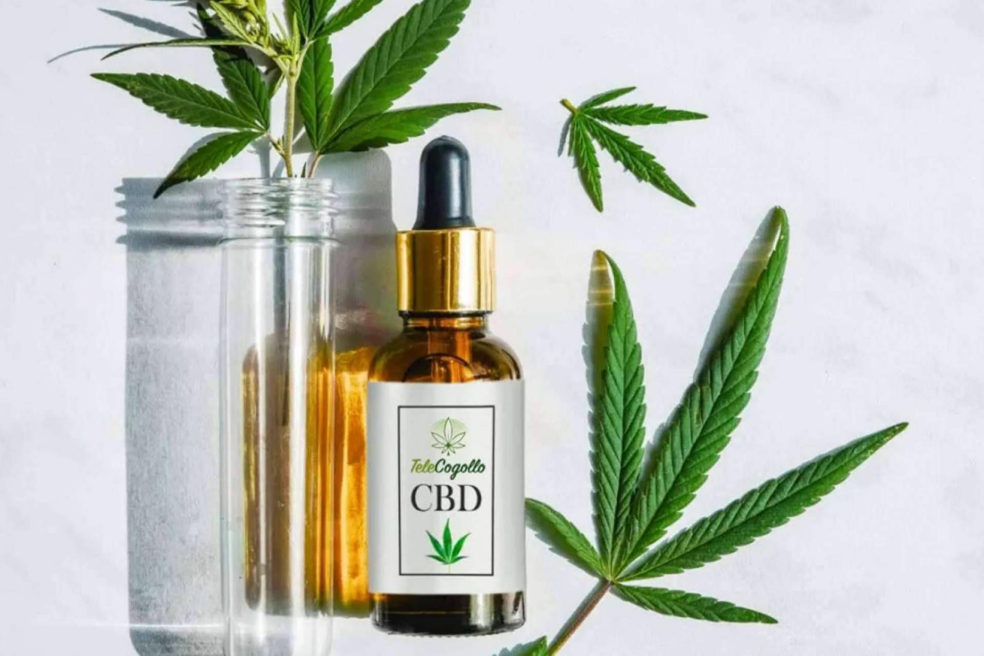 Aceites CBD y otros cannabinoides de TeleCogollo