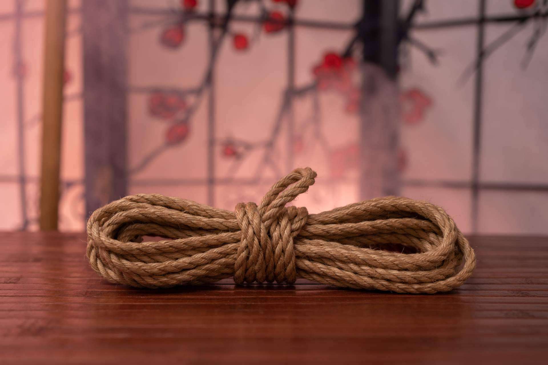 My BDSM Store y el arte japonés de la atadura erótica, Shibari y kinbaku
