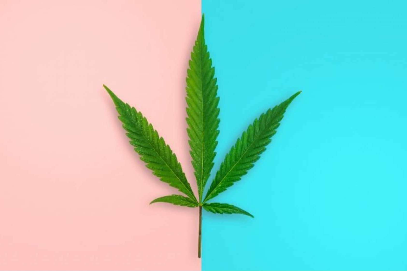¿Qué es Ezencia?, la marca de CBD fundada por una mujer emprendedora para combatir su adicción a los fármacos para dormir