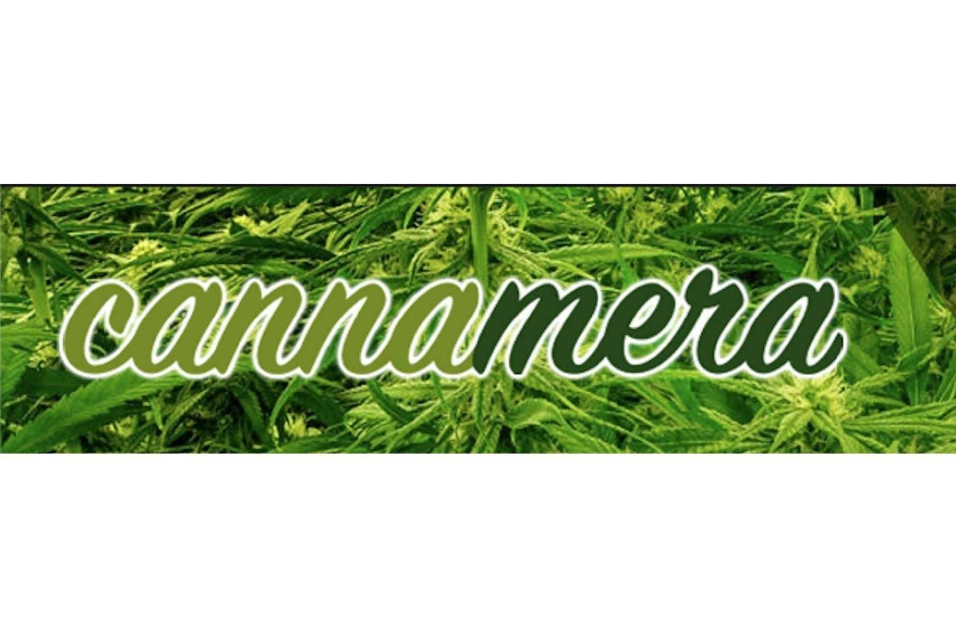 Abrir una franquicia o un dispensario propio de productos CBD de forma sencilla a través de TeleCogollo