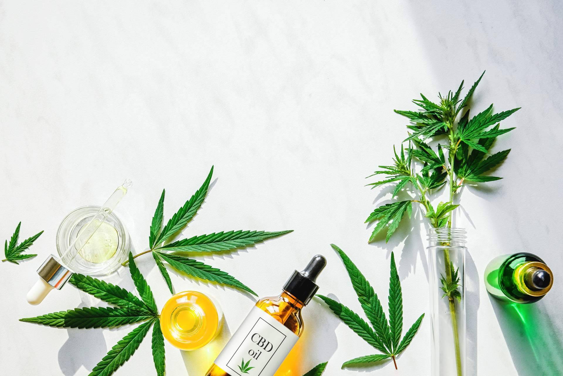 ¿Qué beneficios ofrece el CBD?
