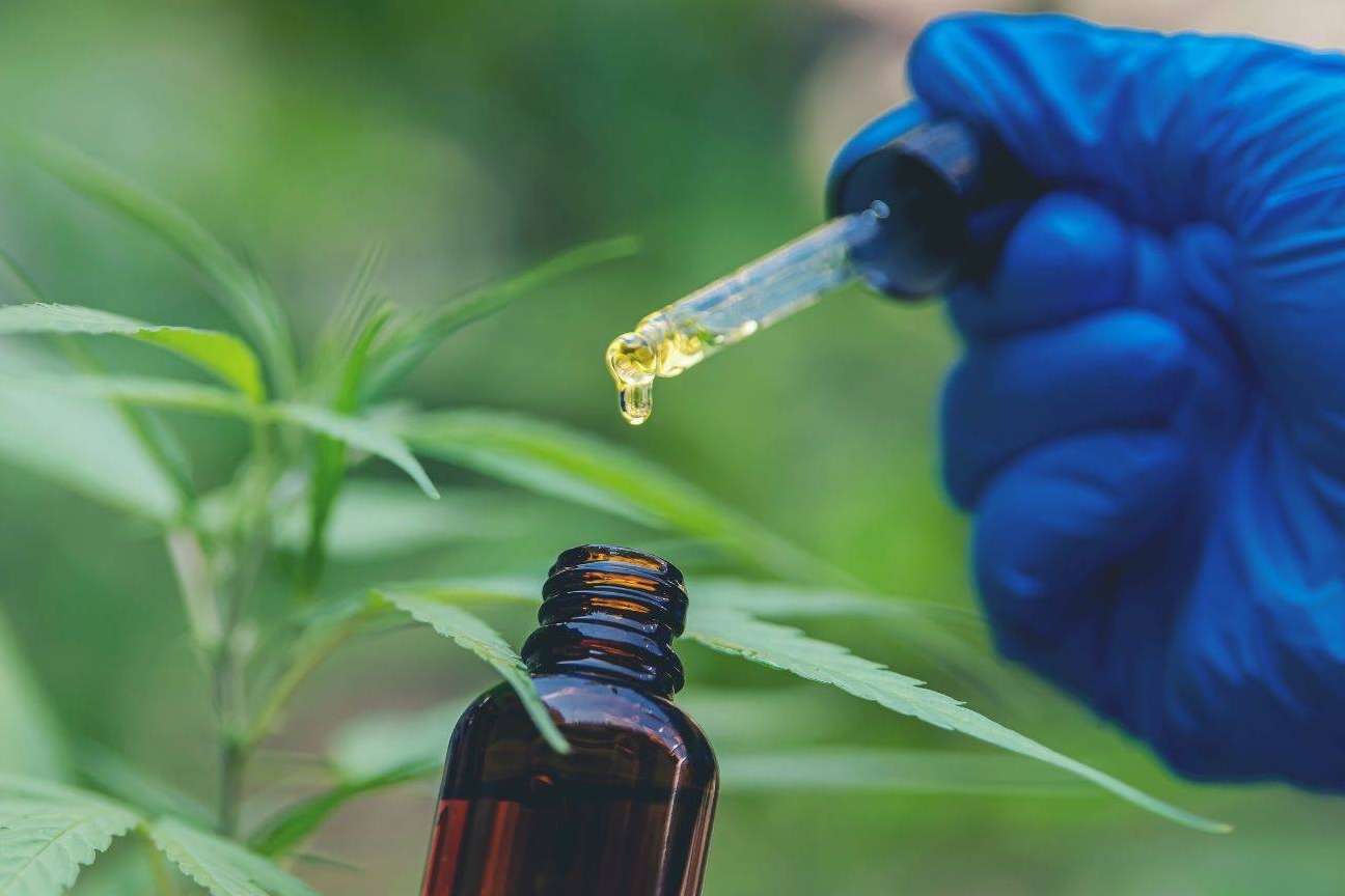 El CBD está ganando popularidad, por CrisEssens