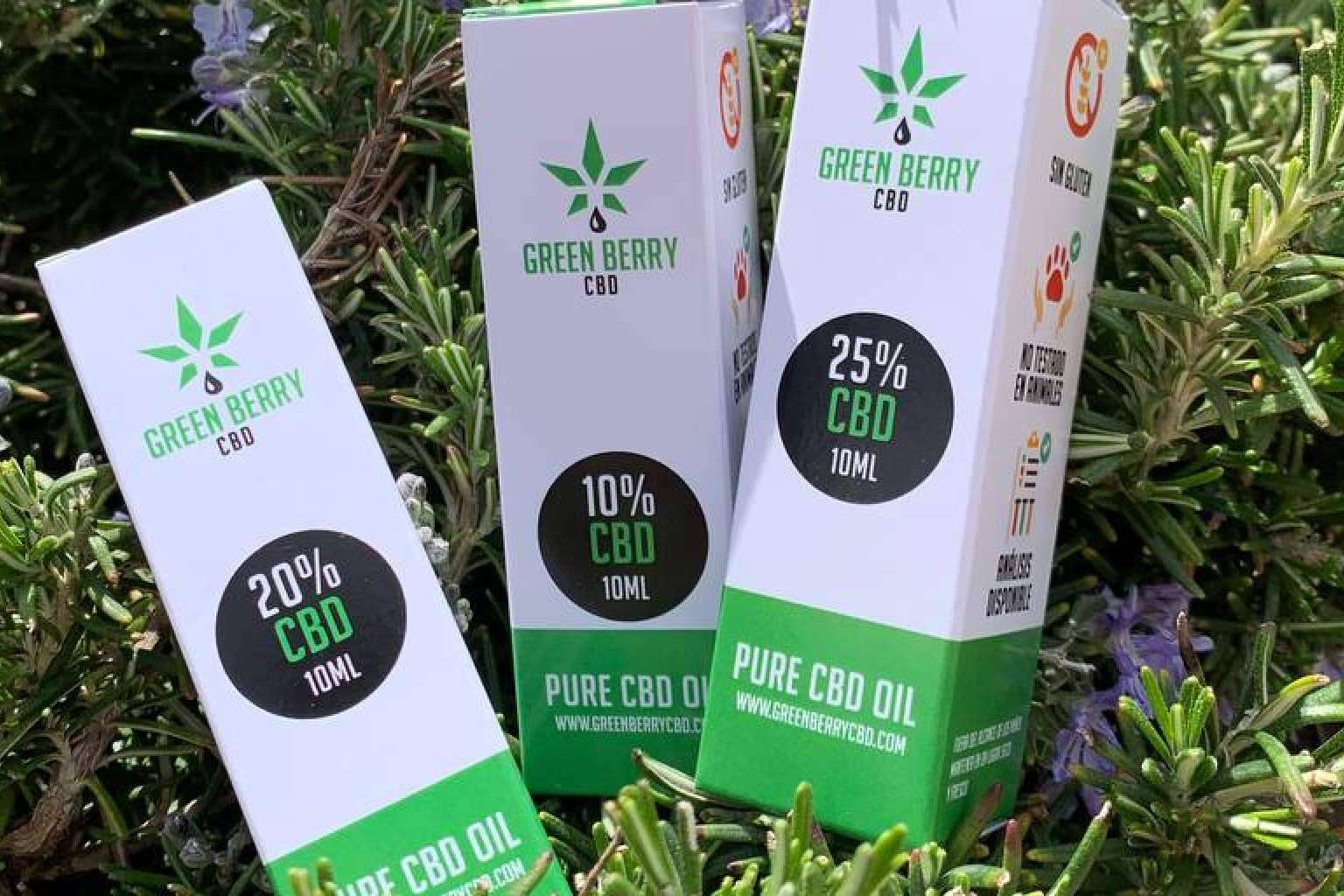 Beneficios del aceite de CBD, por GreenBerry CBD
