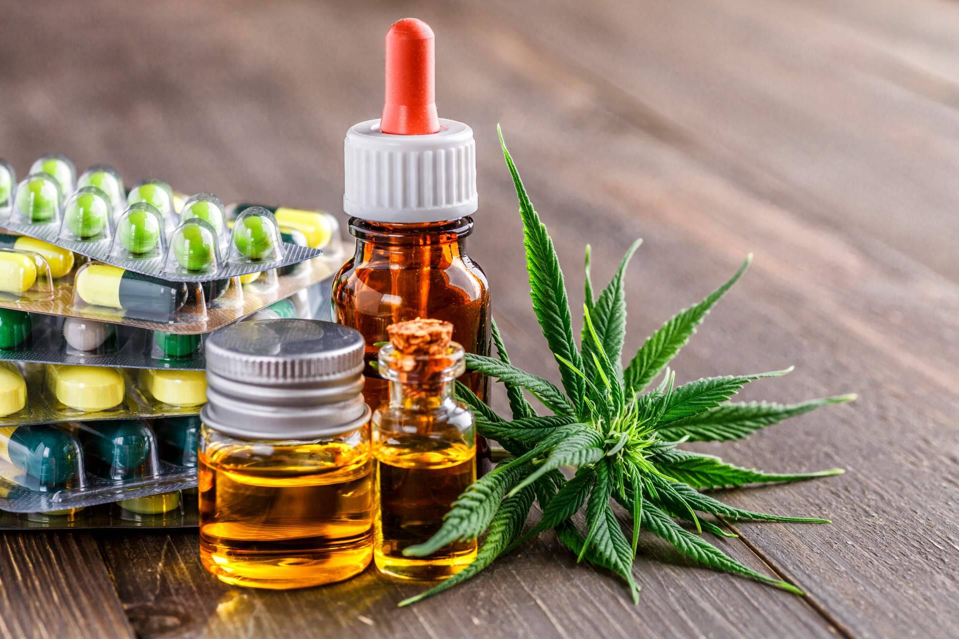 Según la consultoría cannabis medicinal Devecan, el cannabis medicinal es un sector por explotar