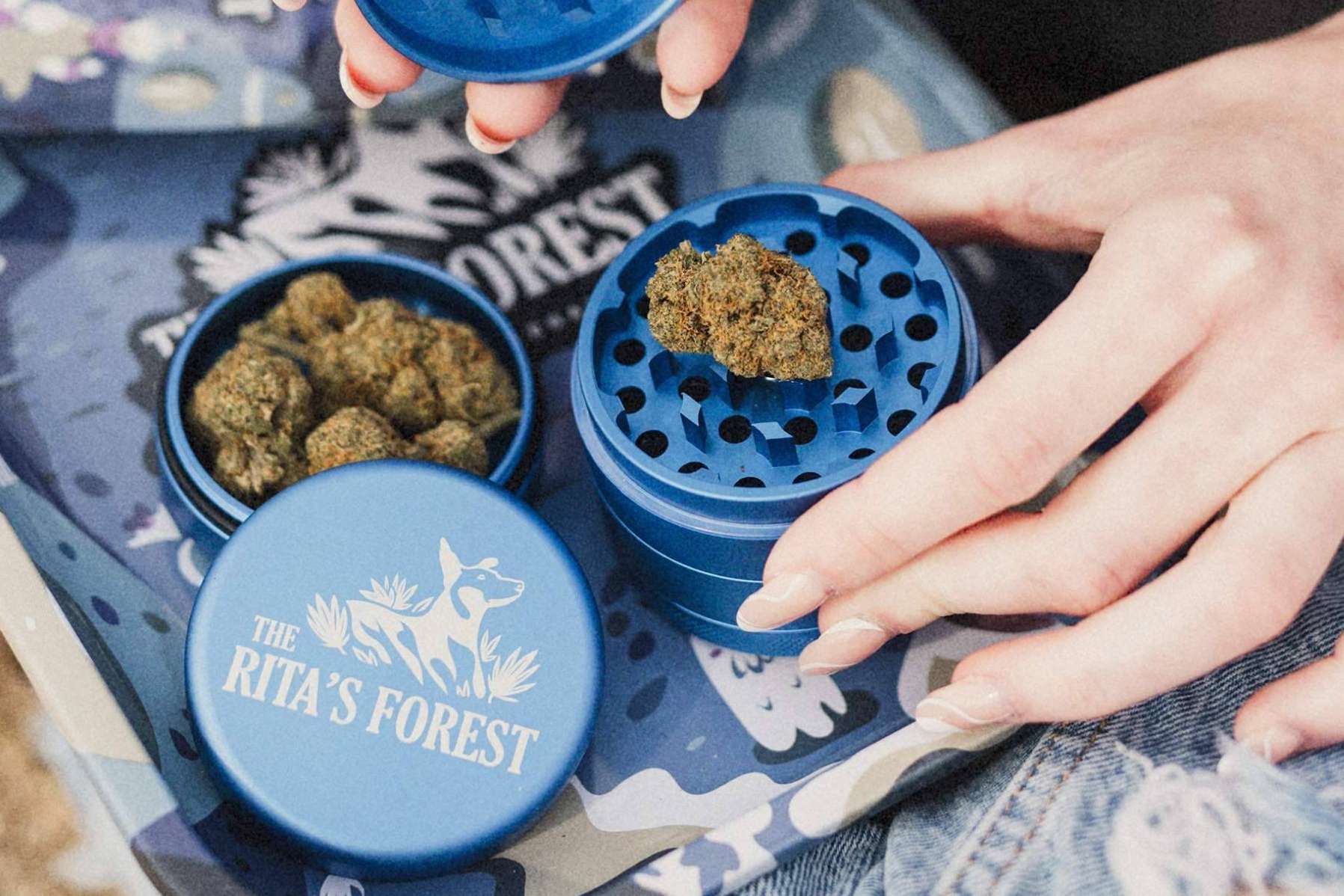 Las ventajas del CBD para dormir, con The Rita's Forest