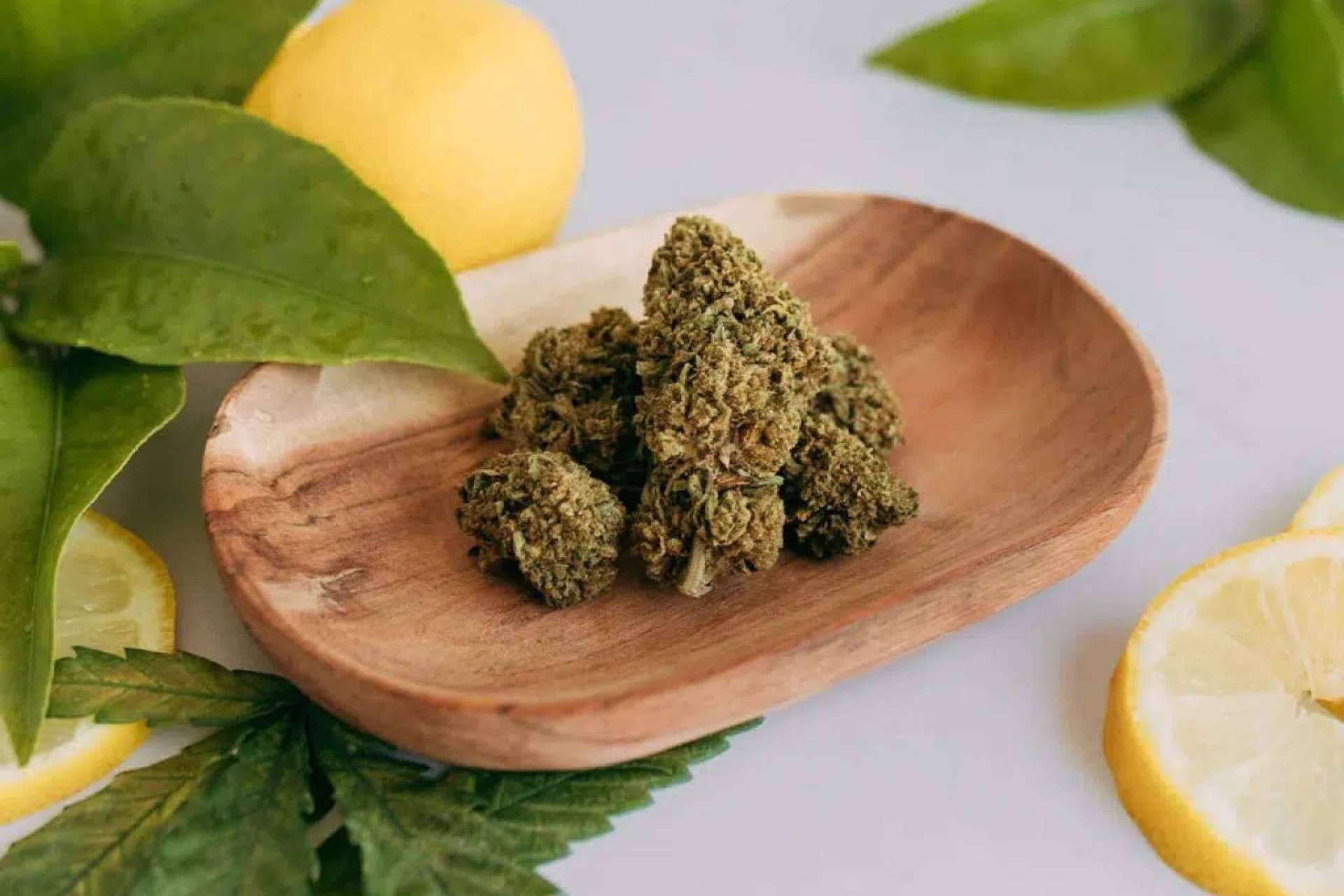 Conocer aspectos interesantes a la hora de comprar CBD, por Flower Farm