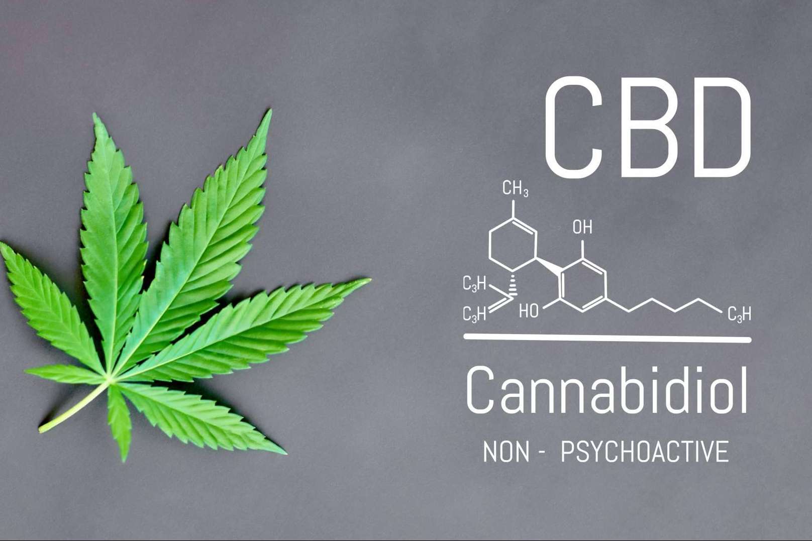 Beneficios del CBD de la mano de Iberian CBD
