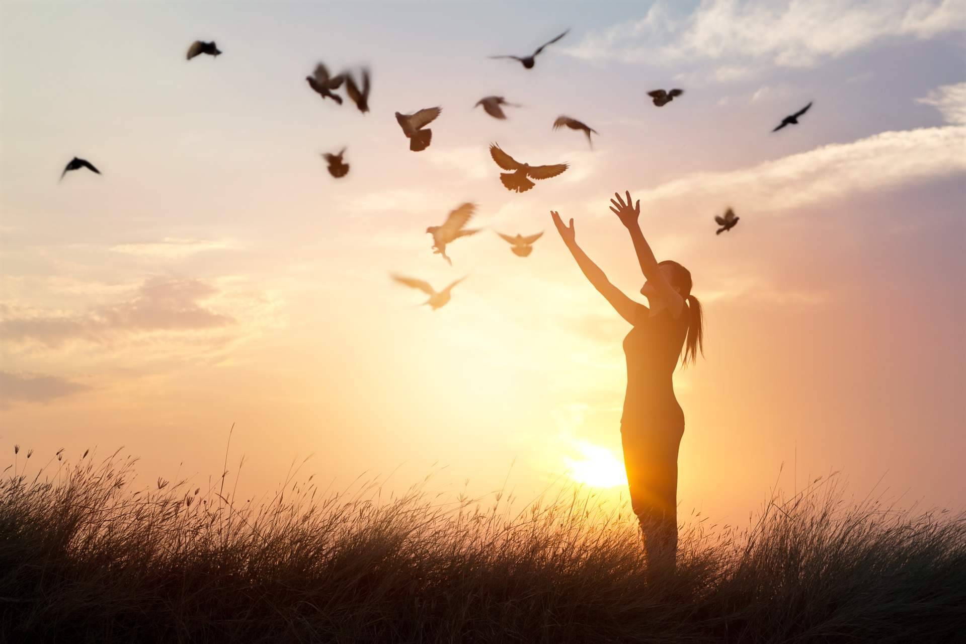 El evento Quinta Dimensión de Consciencia Estelar contribuye en el despertar de la consciencia para lograr un cambio de vida