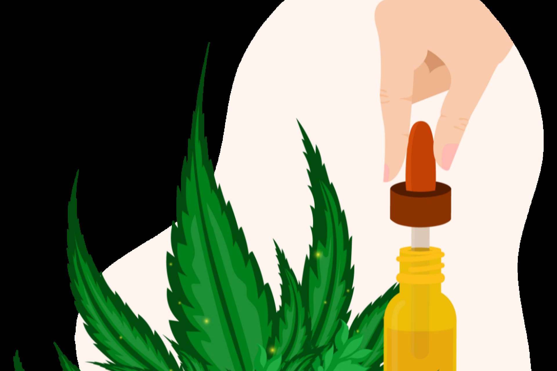 Flower Farm expone los principales beneficios de consumir aceite de CBD