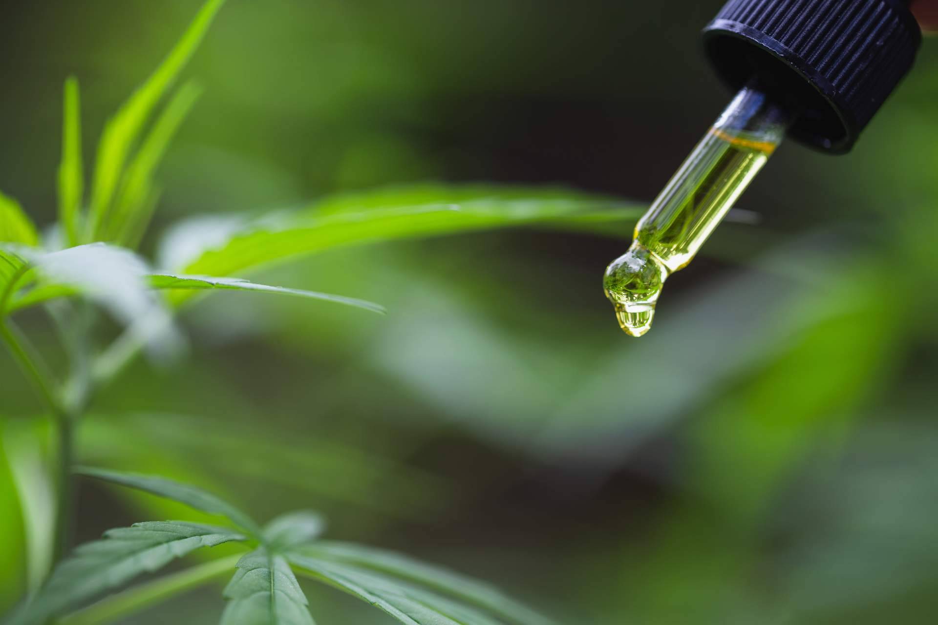 La apertura de una nueva tienda CBD en CC Palacio de Hielo de Helium CBD