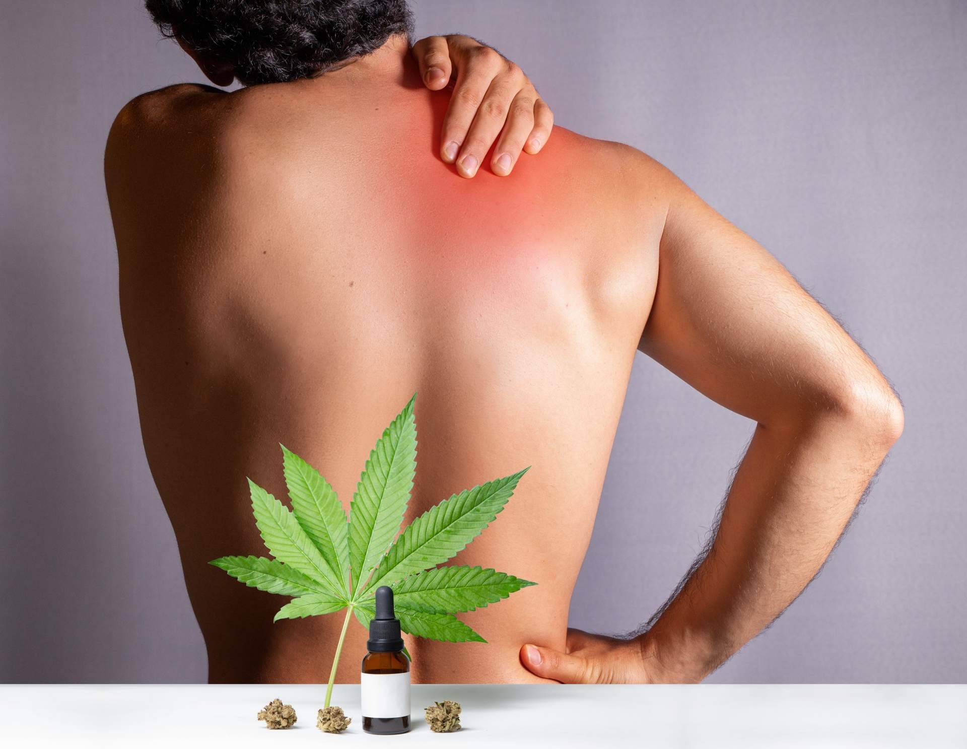Comprar flores de CBD online, de la mano de Kannaia