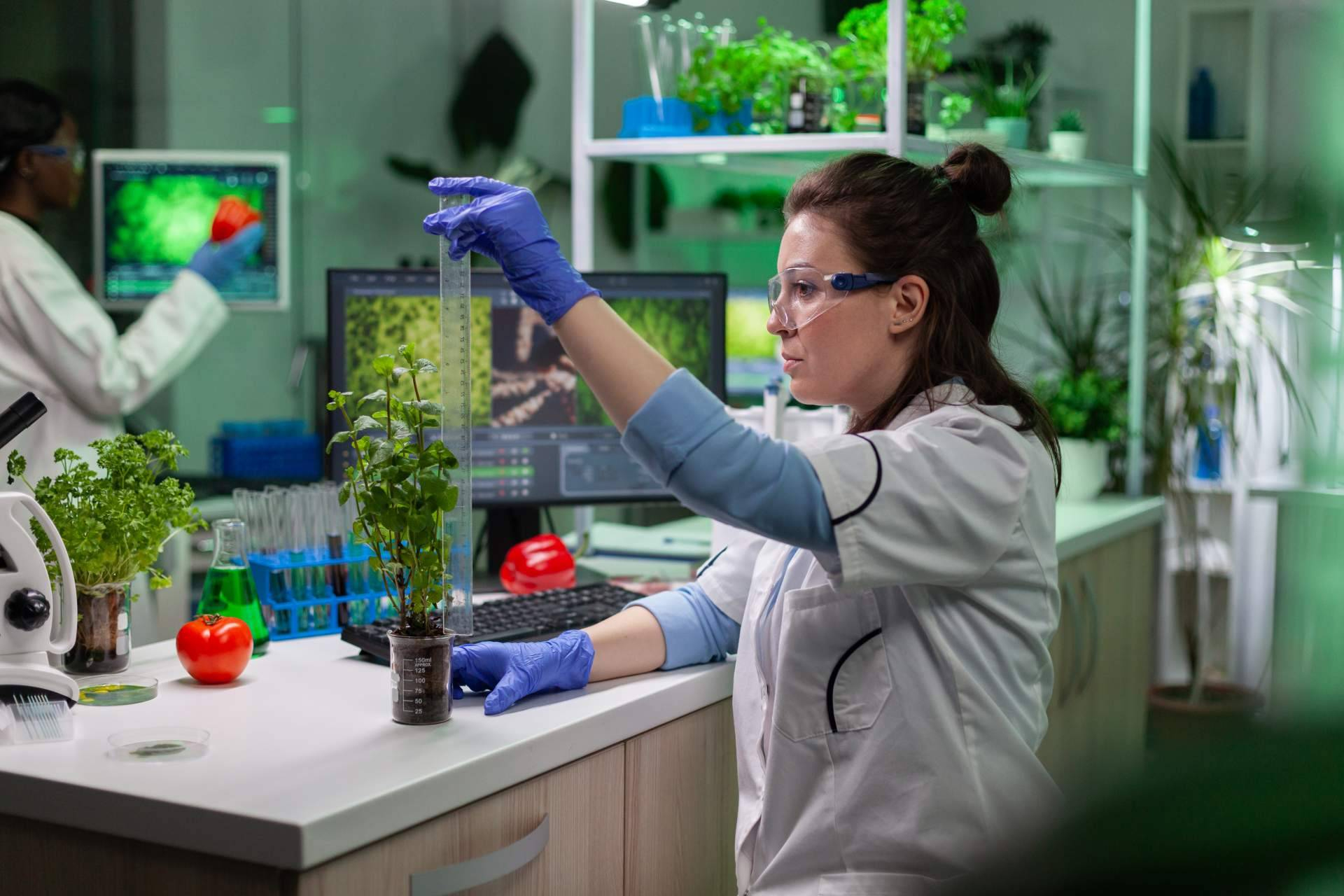 Regenerar para exportar; la nueva estrategia agrícola que nace en Argentina