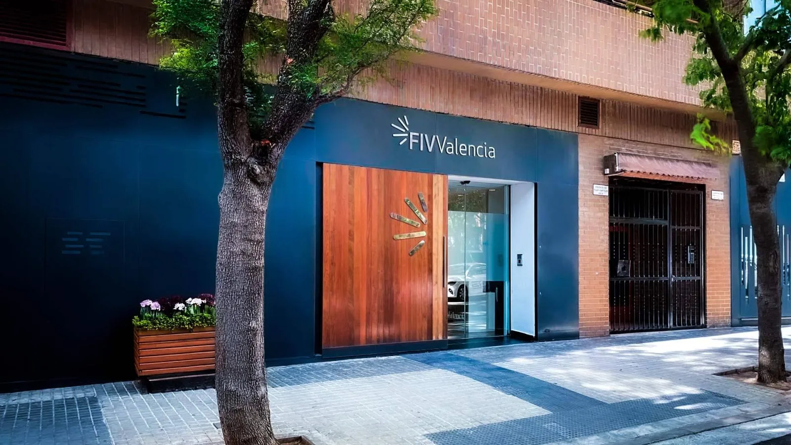 Programa de Reembolso en Ovodonación de FIV Valencia; más tranquilidad durante el tratamiento